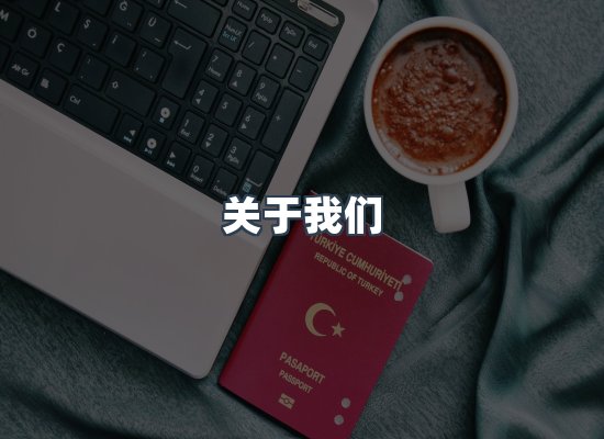 专业团队